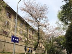-武汉大学-樱园