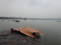 -知味观(湖滨总店)