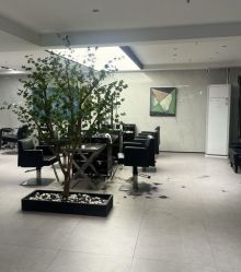 -付军剪艺JF ProSalon