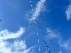 -洨河生态公园