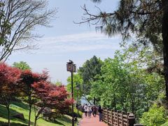 -铁山坪森林公园