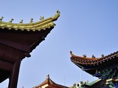 -长沙黑麋峰国家森林公园