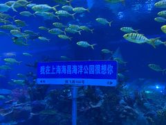 -上海海昌海洋公园