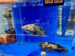 -鲜得莱渔港·小平岛海胆馆(七贤岭店)