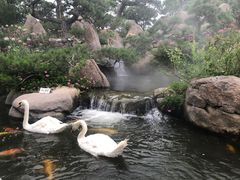 -罗红摄影艺术馆