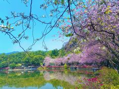 -星湖旅游景区七星岩