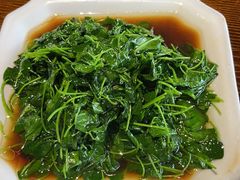 -召稼楼古镇