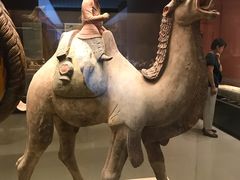 -西安大唐西市博物馆