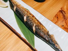 -锦鲤堂日本料理(莱茵之星店)