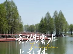 -贡湖湾湿地公园