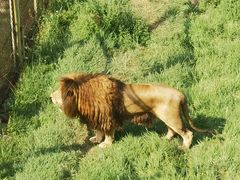 -青藏高原野生动物园