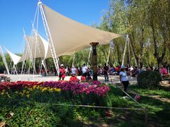 -长春公园(普阳街道)