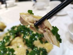 -凤城礼记鱼翅海鲜酒家(新马路总店)