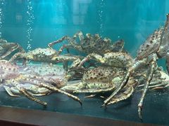 -珍记海鲜酒家(嵩山路店)