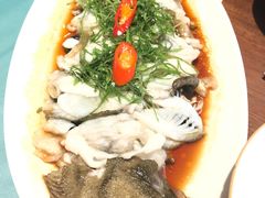 -大树餐厅(益田假日店)