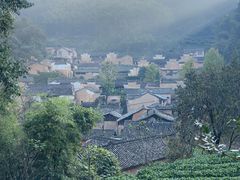 -杨家堂村