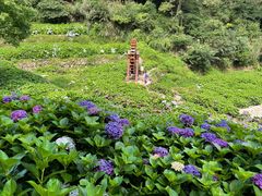 -鼓岭旅游度假区