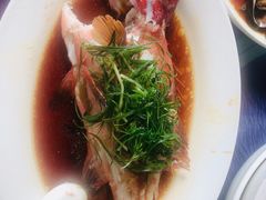清蒸石斑鱼-盛港湾海鲜食府(黄沙店)