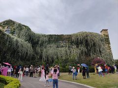 -府河摄影公园