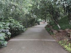 -菊花台公园