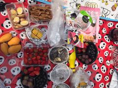 -吴淞炮台湾湿地森林公园烧烤区