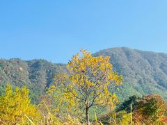 -塔川景区