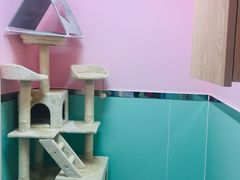 -全心全意连锁动物医院(石景山店)