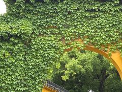 -西园寺素食(西园弄戒幢律寺店)