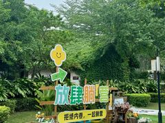-美的鹭湖森林度假区