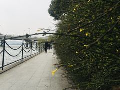 -高子水居