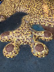 -酷酷兔少儿拓展天地