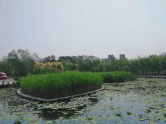 -绿堤公园