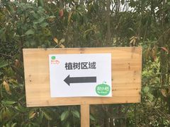 -前小桔亲子创意农场·草莓采摘·露营烧烤