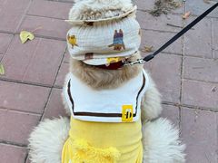 -小意思咖啡店(草桥店)