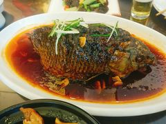 罾蹦鲤鱼-津菜宋记老房子(鼓楼店)