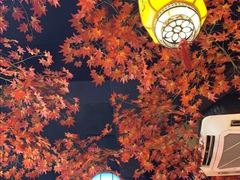 -津沽小院(大直沽总店)