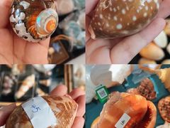 -浙江自然博物院(杭州馆)