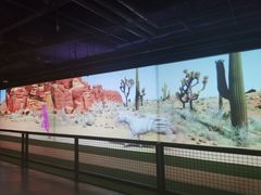 -VS SPORTS PARK运动玩乐园·团建·生日会(合生汇店)