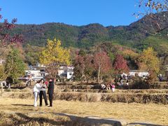 -塔川景区