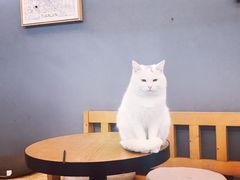 -叁秋咖啡 SANQIU COFFEE(天津河北路店)