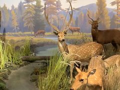 -陕西自然博物馆