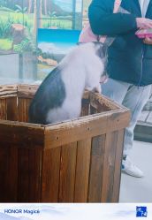 -未来动物城动物主题公园(大悦城店)