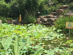 -新湖明珠城