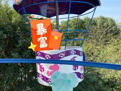 -史努比缤纷世界