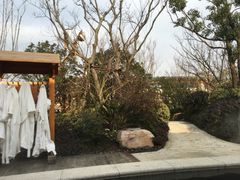 -苏州湾王焰温泉度假酒店