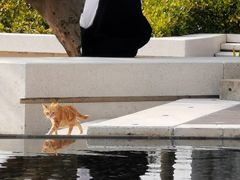 -星巴克(深圳前海企业公馆店)