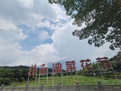 -红山村