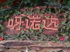 -呀诺达热带雨林