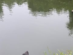 -钰园(水绘园店)