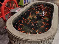 -黄家码头老火锅(解放碑旗舰店)